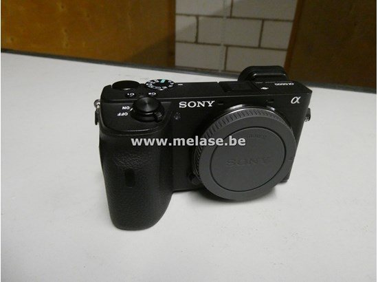 website promo 24